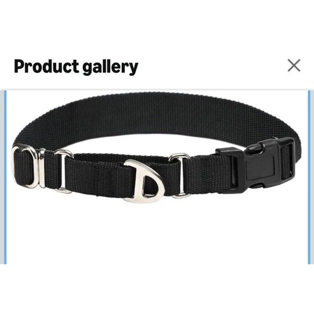 Martingale Dog Collar - Training Collar Adjustable Black Large 1 Inch